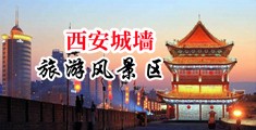 爆操白虎后入中国陕西-西安城墙旅游风景区