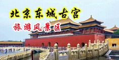 淫荡13p在线中国北京-东城古宫旅游风景区